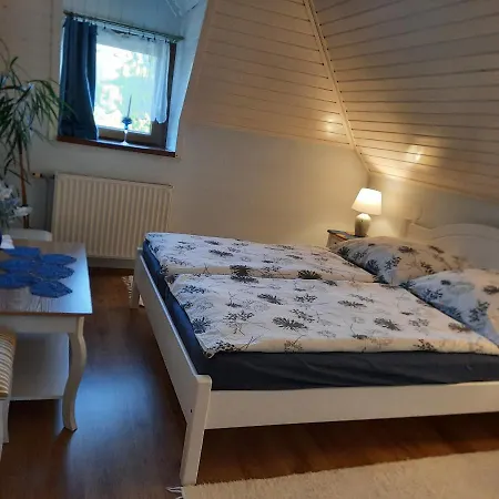 Anna Vendeghaz Alloggio in famiglia *