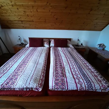 Anna Vendeghaz Homestay *