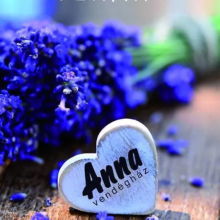 Anna Vendeghaz Homestay