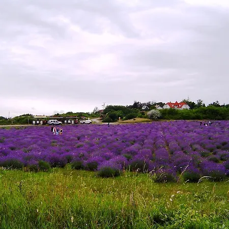 Alloggio in famiglia Anna Vendeghaz Tihany