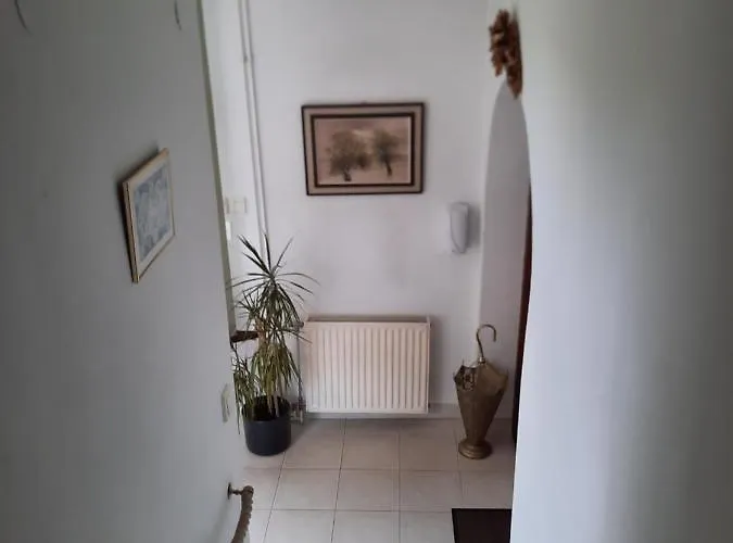 Anna Vendeghaz Privat bolig *