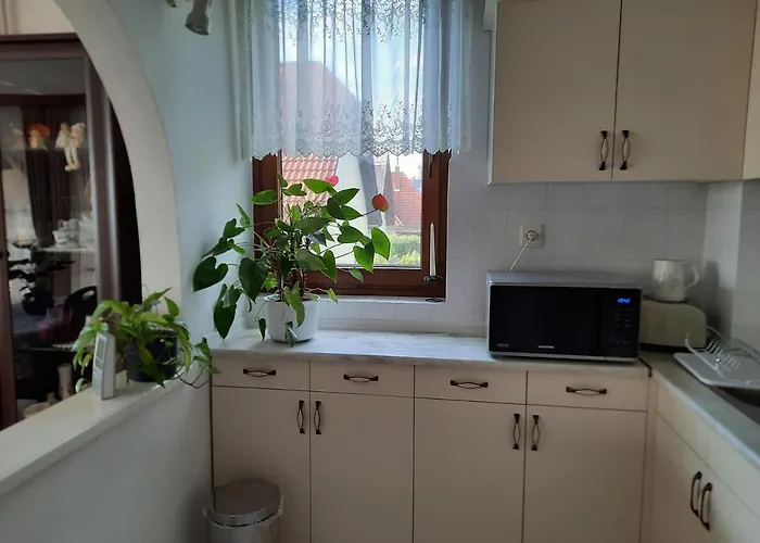 Anna Vendeghaz Privat bolig