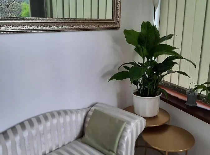 Anna Vendeghaz Privat bolig *