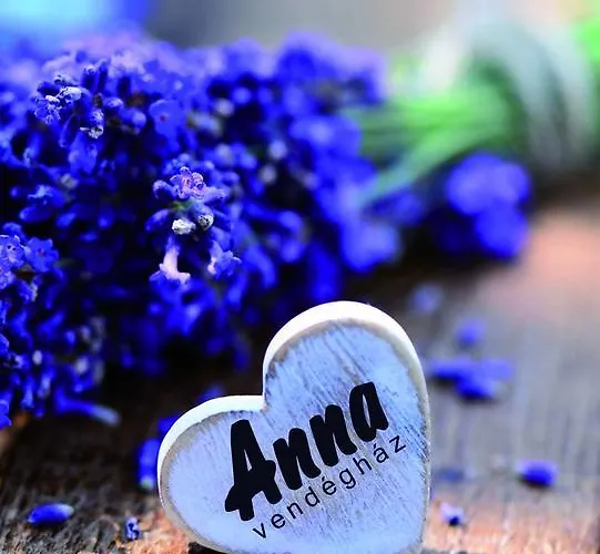 Anna Vendeghaz Kwatera prywatna