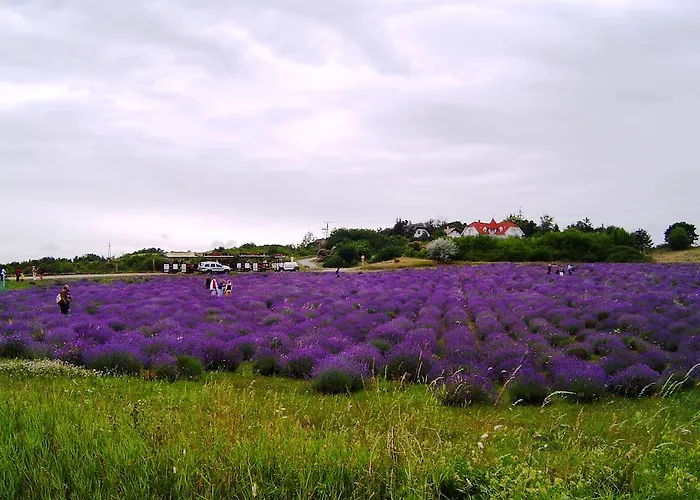 Kwatera prywatna Anna Vendeghaz Tihany